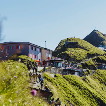 Image de la catégorie Bon d'achat pour le restaurant Rothorn Kulm